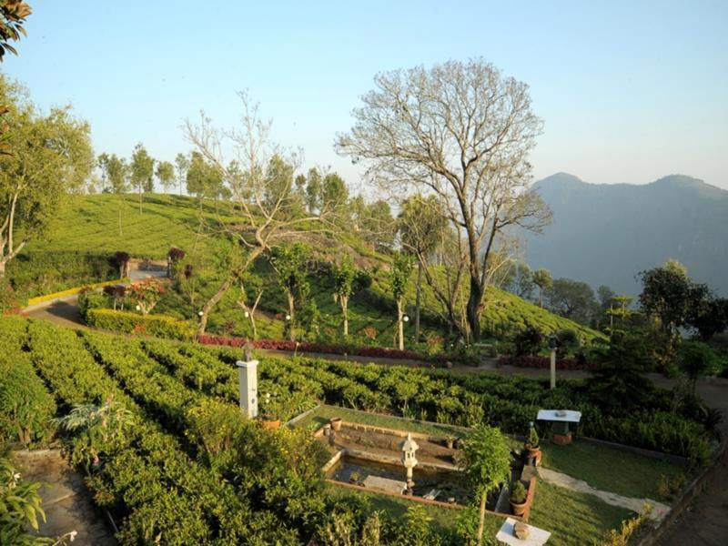 Teanest By Nature Resorts And Stays Coonoor Dış mekan fotoğraf