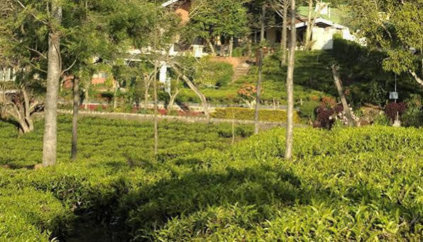 Teanest By Nature Resorts And Stays Coonoor Dış mekan fotoğraf