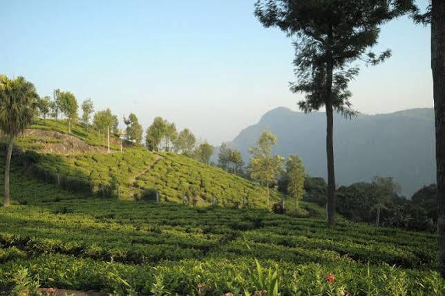 Teanest By Nature Resorts And Stays Coonoor Dış mekan fotoğraf